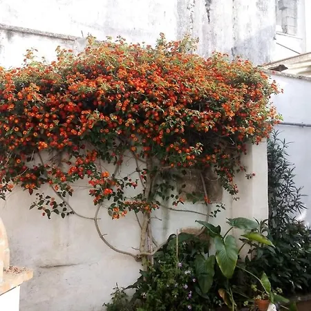 Casa Vacanza Il Giardino Supersano