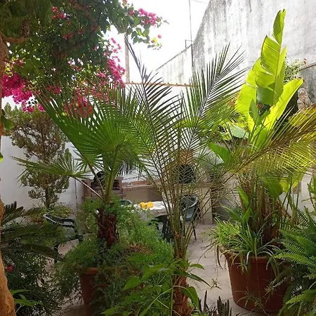 Tatil Evi Casa Vacanza Il Giardino